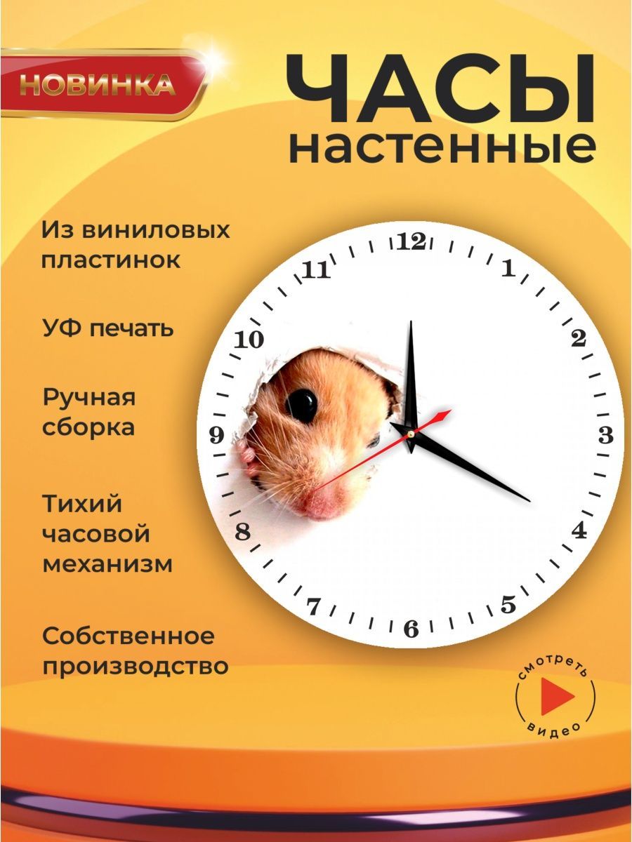 Мышь который час. Мышка и часы. мышка с часами. мышь на часах.