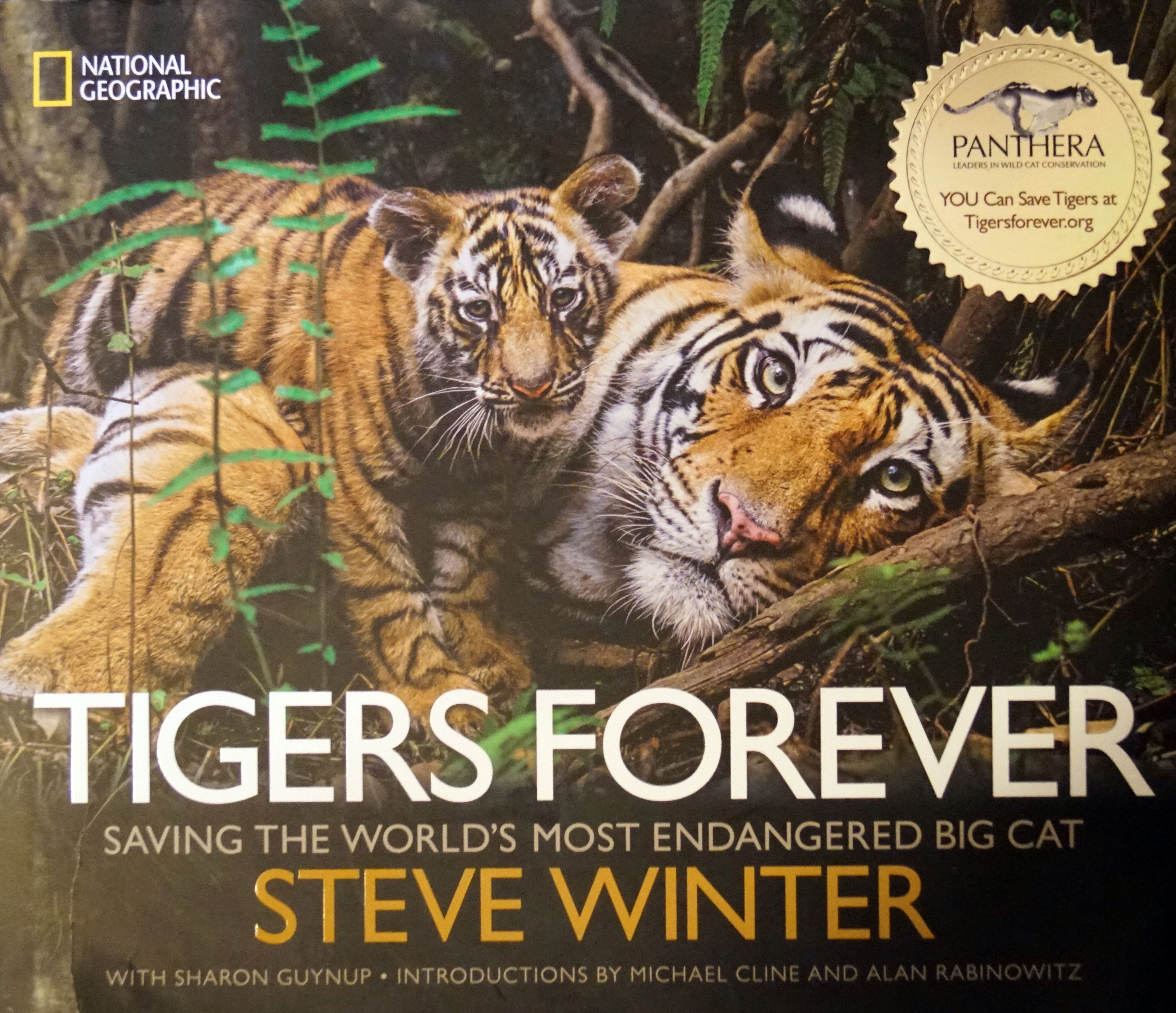 Тайгер книга. Тигр с книгой. Книга с тигром на обложке. Save the Tigers. Тигр тигр книга.