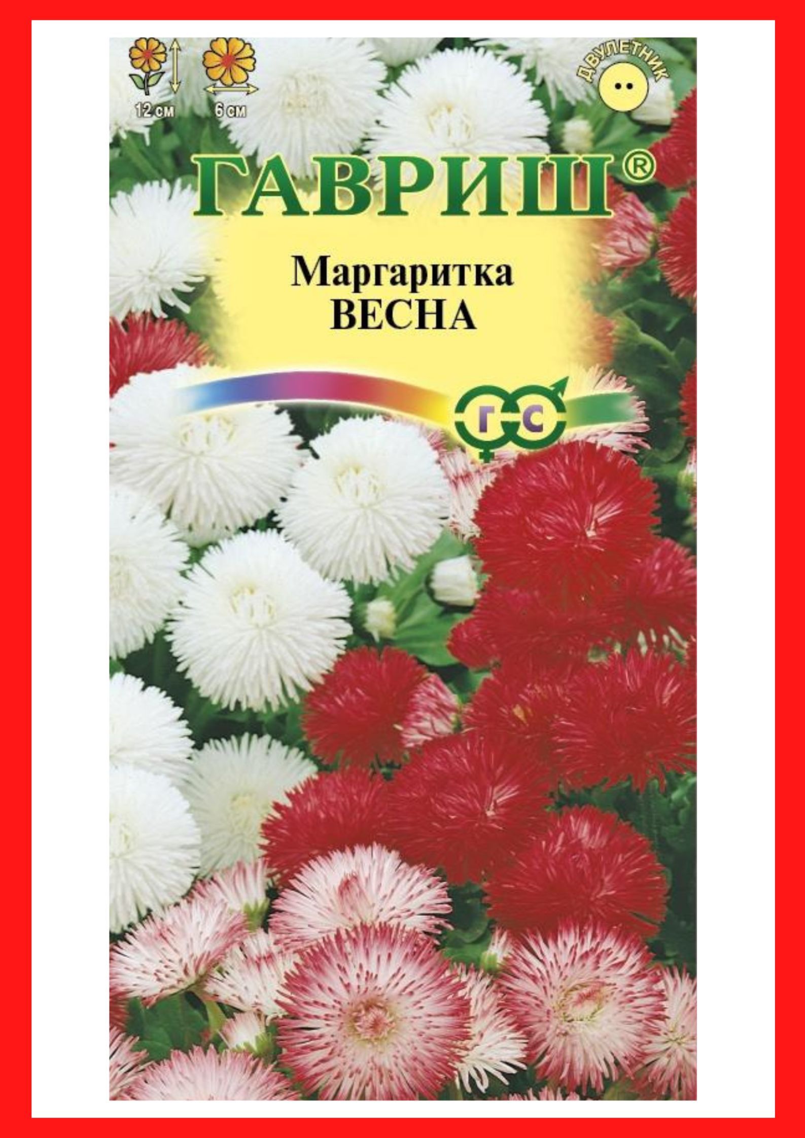 Маргаритки Семена Купить