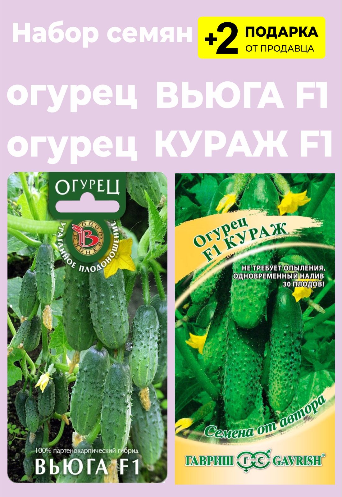 Огурцы Вьюга Купить Семена