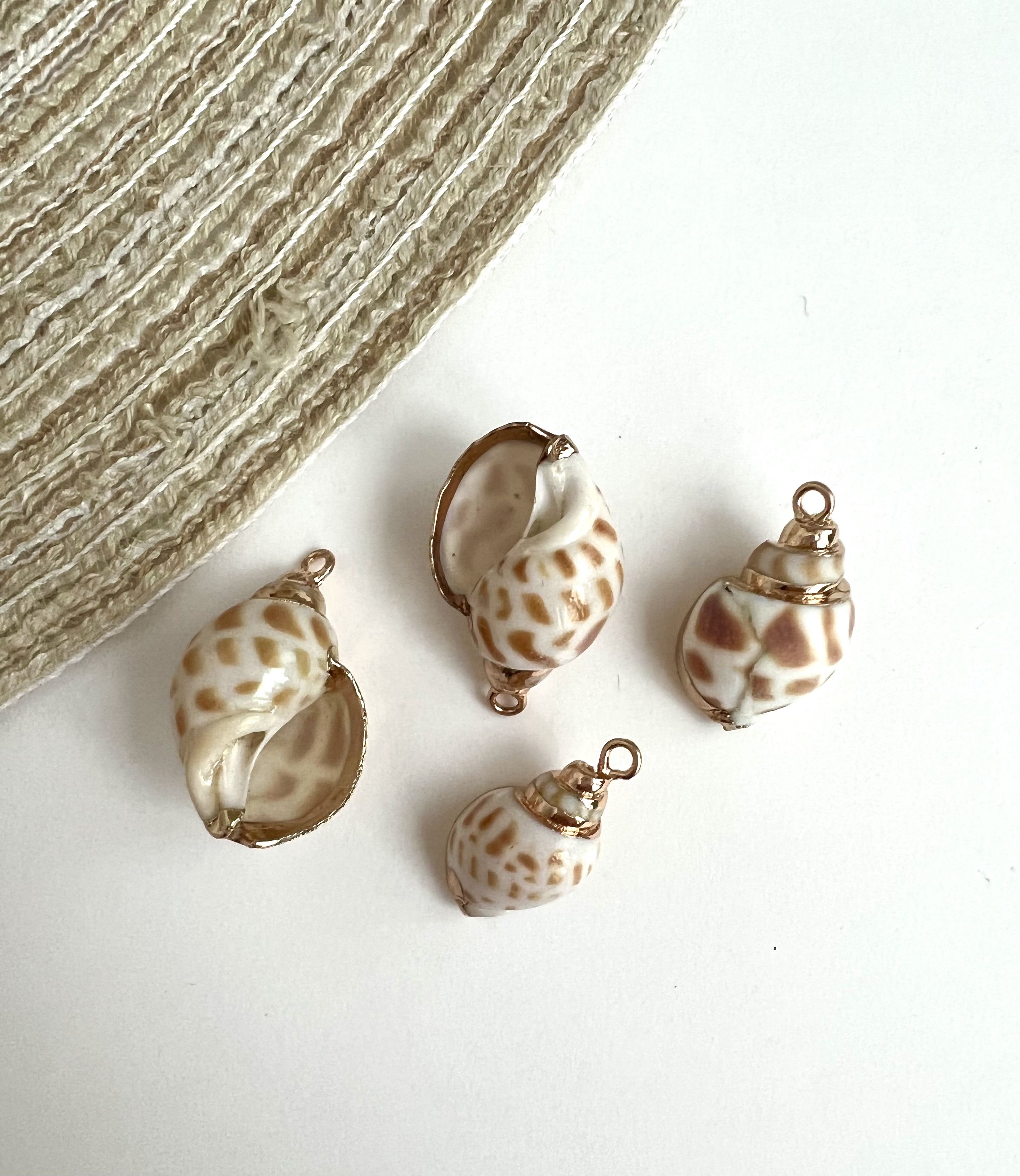 ракушка 5. Shell ракушка. халиотис серьги ракушка. подвеска из ракушек. ракушки декор.