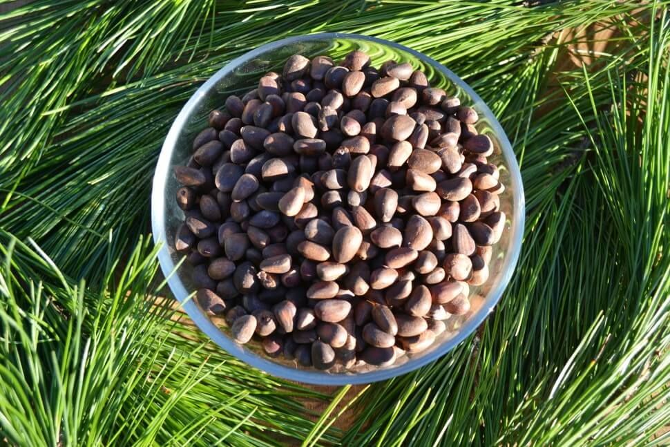 Кедровые орехи Ozon