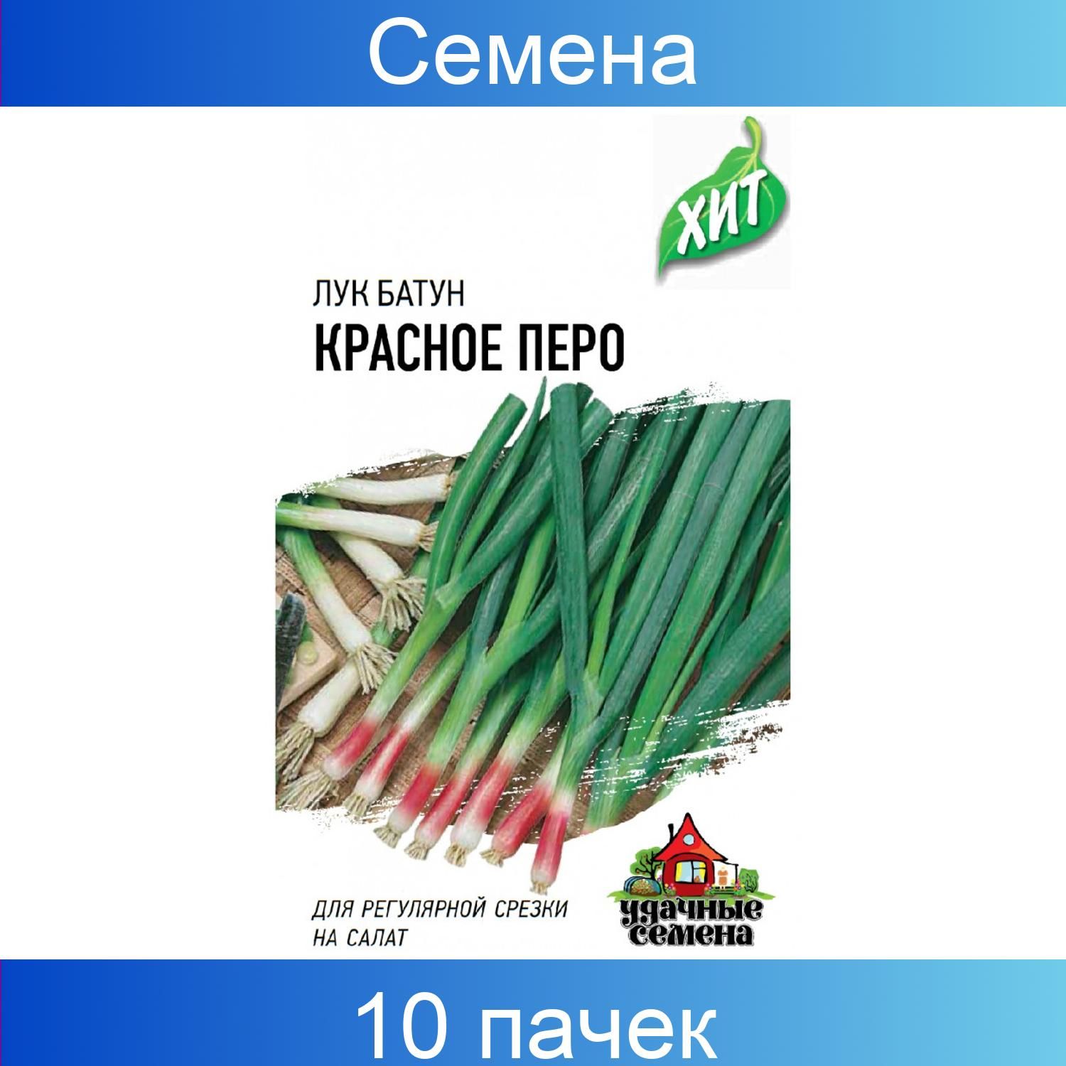 семена лука на перо