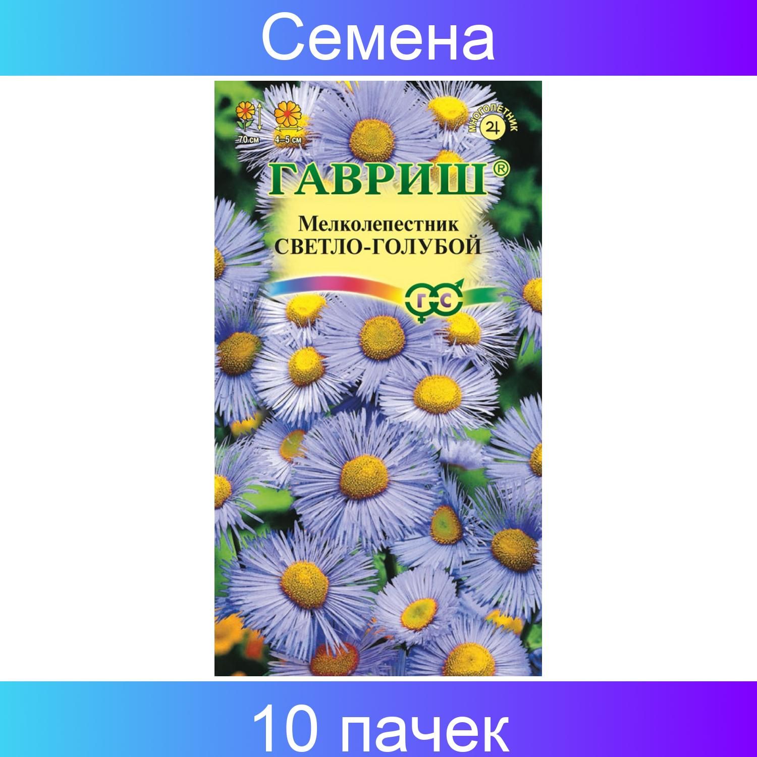 Цветы С Соцветием Корзинка