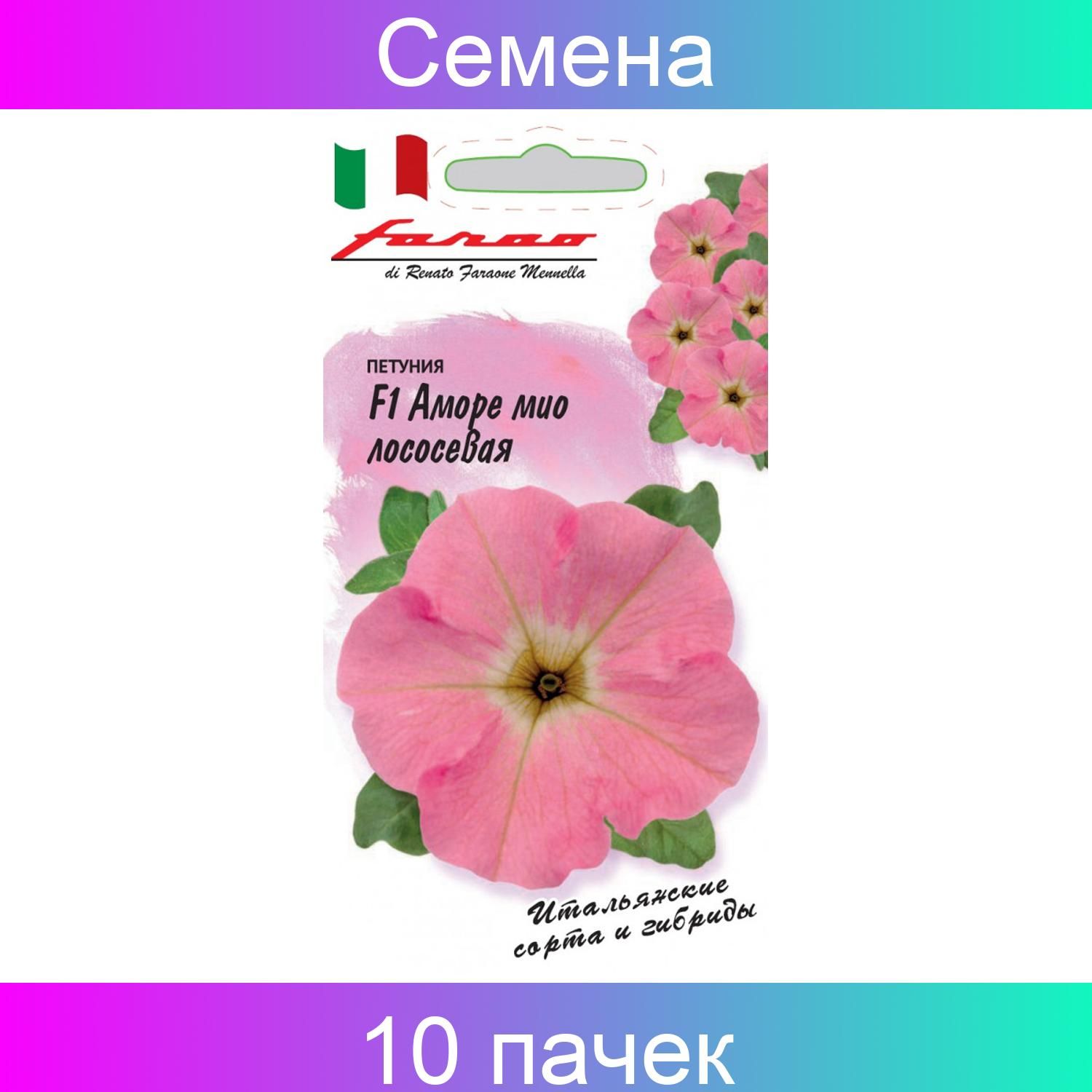 1 amore. Петуния Аморе Мио Сансет f1. Amore mio Rose петуния. Петуния многоцветковая Аморе Мио лососевая f1 аналоги. Петуния многоцветковая каскадная Аморе Мио.