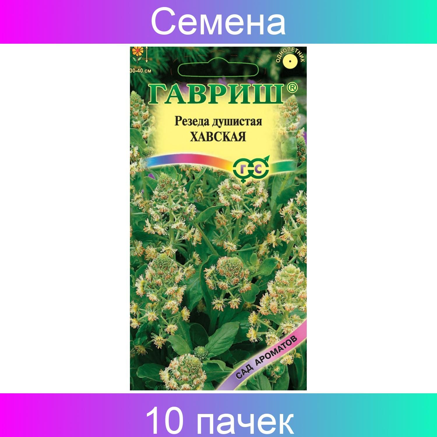 Резеда Купить Семена