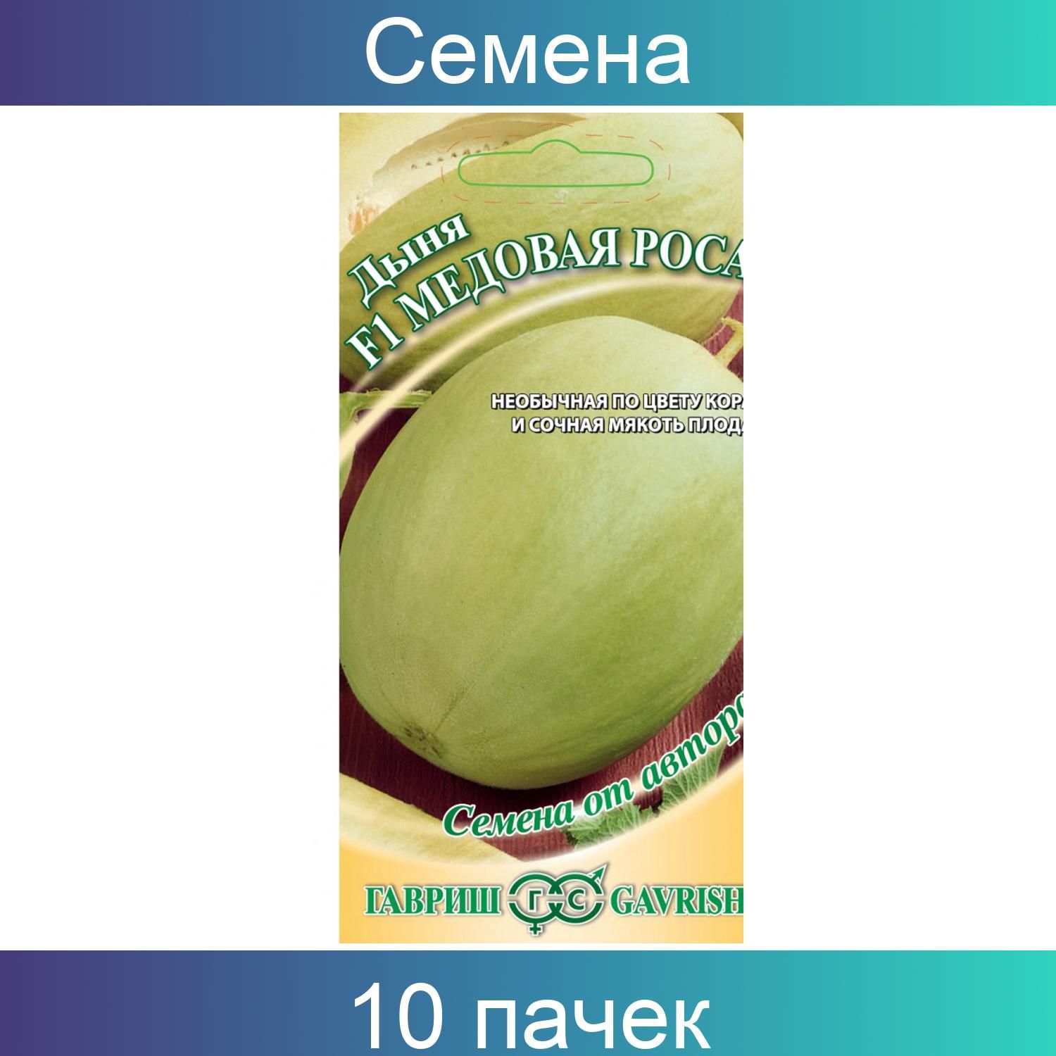 Медовая роса. Дыня медовая роса отзывы. Дыня медовая роса отзывы. Дыня алтайская уральский дачник. Дыня медовая роса отзывы.