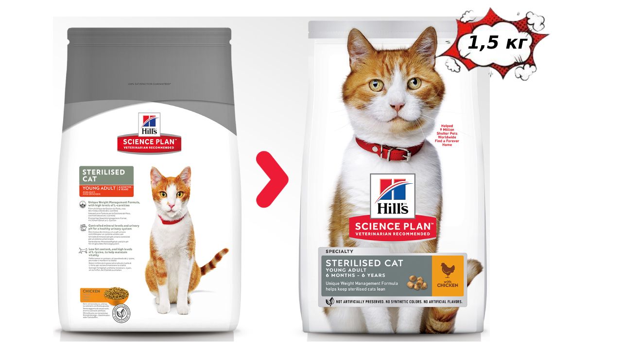 Hills сухой корм для стерилизованных кошек. Хиллс urinary health. Хиллс корм сухой для кошек 1. Озон корм хиллс. Хиллс для пожилых кошек.