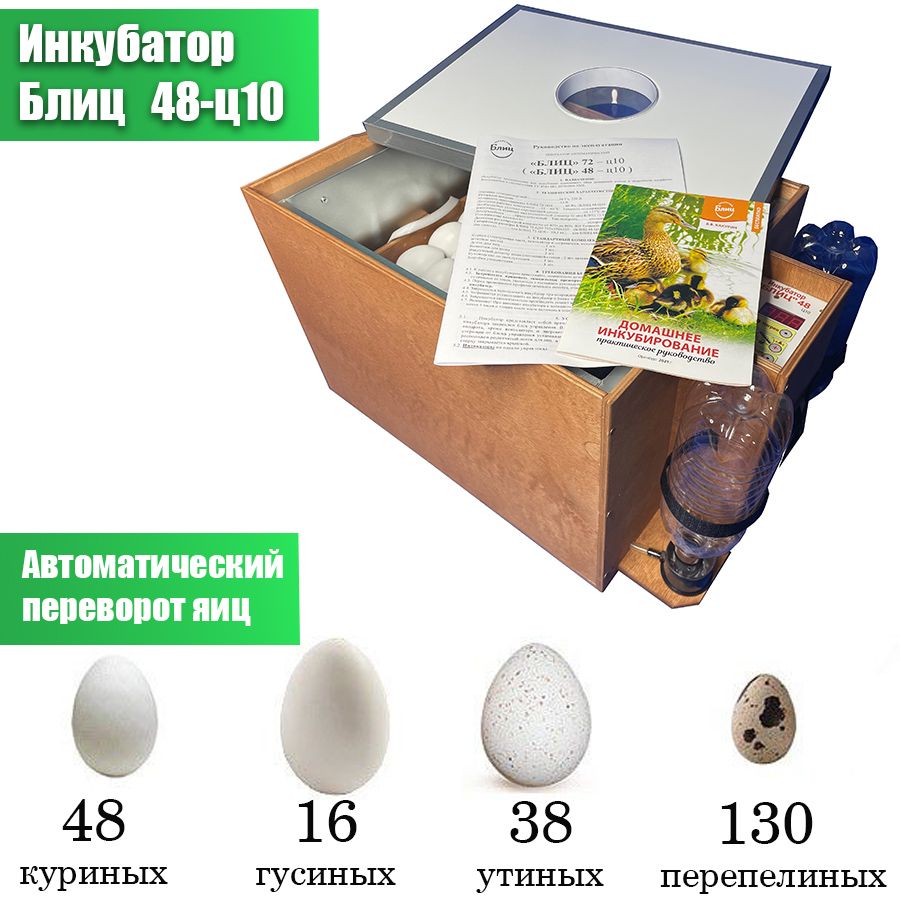 Инкубатор для яиц блиц 48