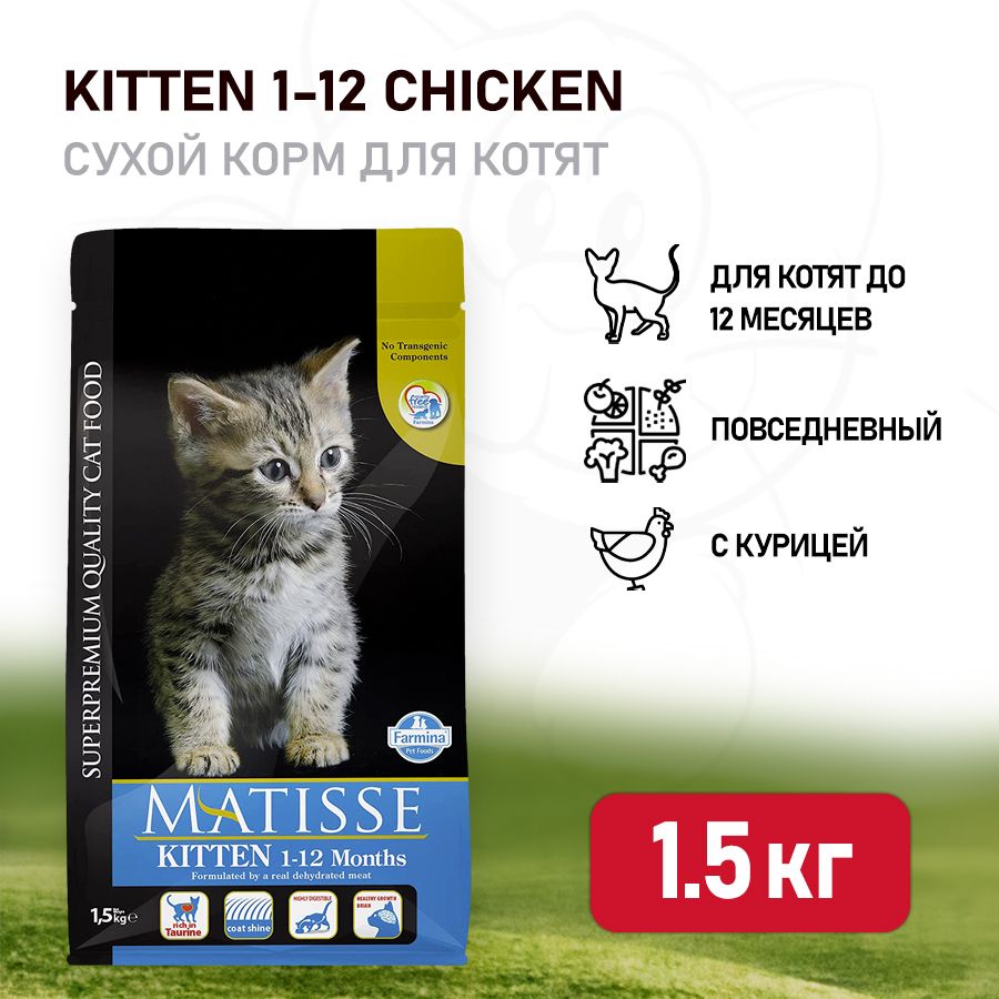 Farmina Matisse Kitten сухой корм для котят до 12 месяцев, беременных и  кормящих кошек с курицей - 1,5 кг - купить с доставкой по выгодным ценам в  интернет-магазине OZON (349845832)