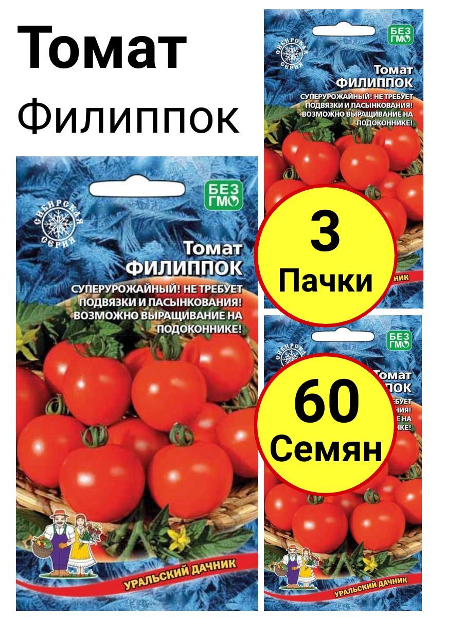 Помидоры дачник описание фото отзывы. Томат Уральский Дачник. Томат Дачник. Томат Уральский Дачник высота. Дачник томат описание.