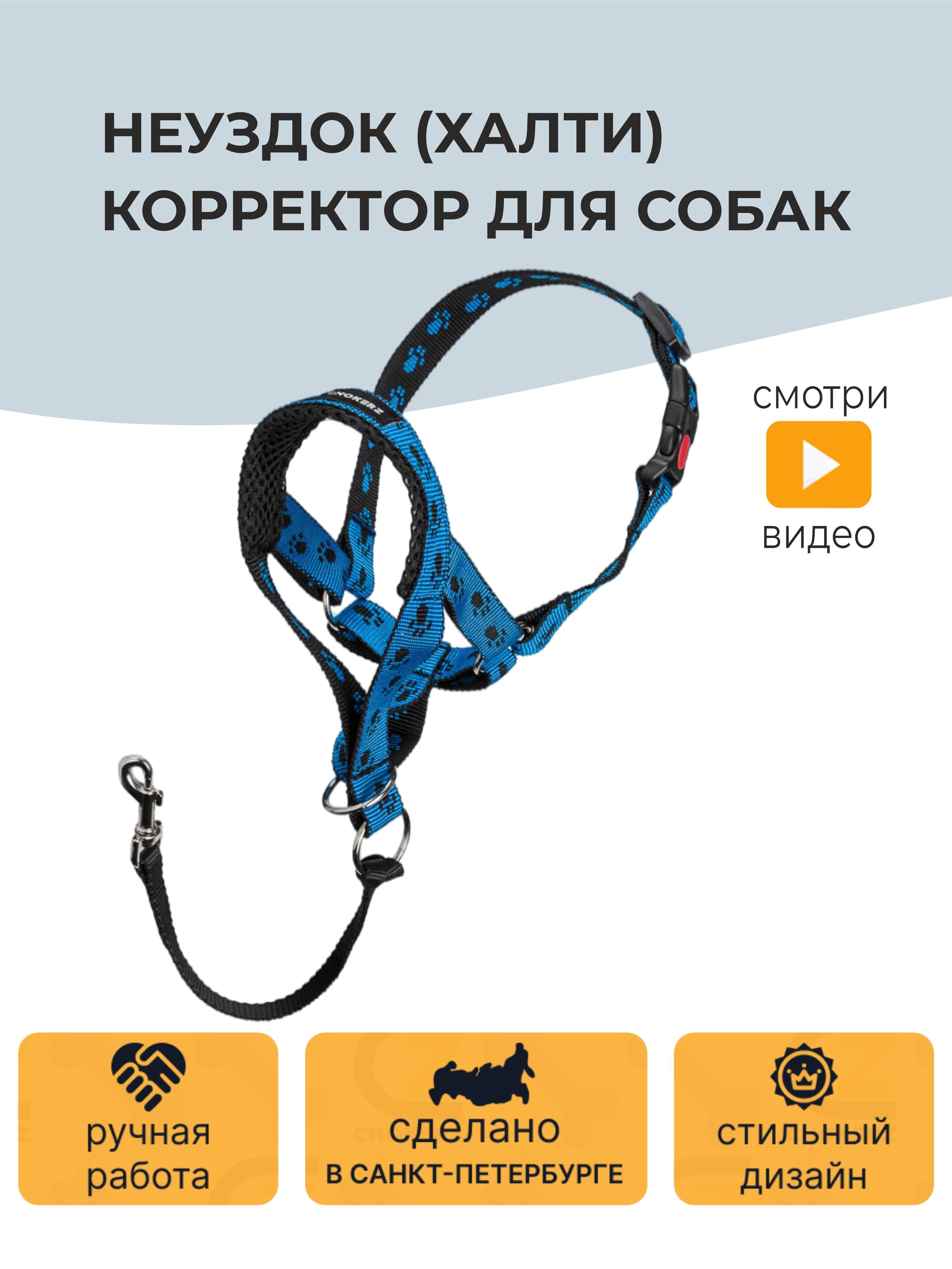 Недоуздок (Халти) корректор для собак CHOKERZ. Обхват морды 14-18 см, шеи - 30-35. купить на OZON по низкой цене (667222540)