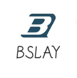 BSLAY — купить товары BSLAY в интернет-магазине OZON