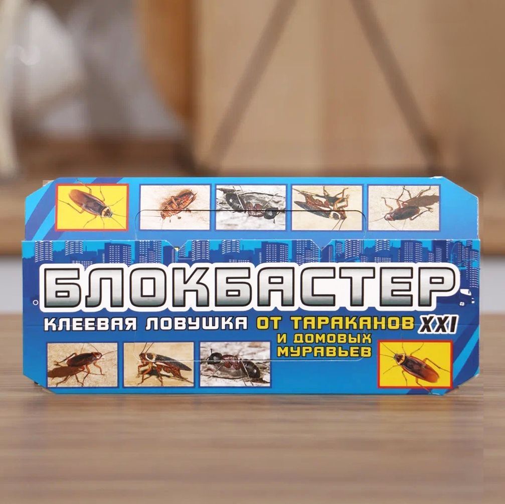 12. Блокбастер 1. Blockbuster 90ы. Блокбастер 1. 16 5.