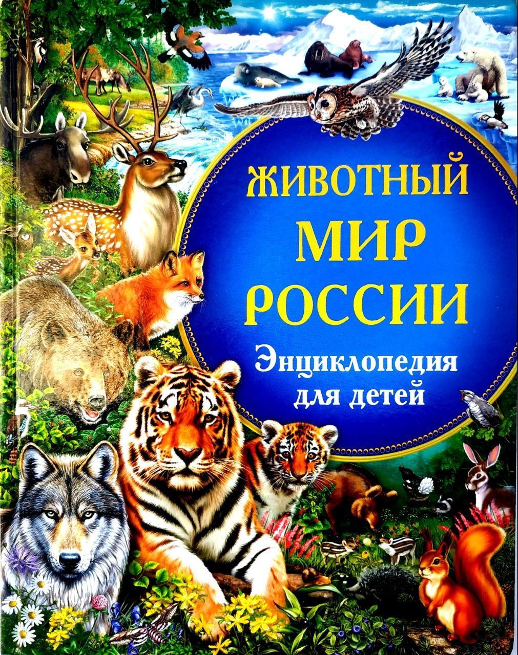 Энциклопедия для детей. Животный мир России. Энциклопедия для детей. Энциклопедия для детей книга. Энциклопедия животных для детей. Книга животный мир.