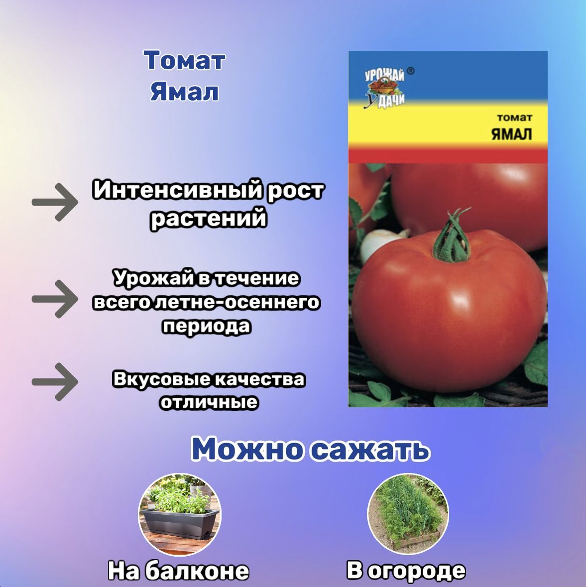 Томат ямал