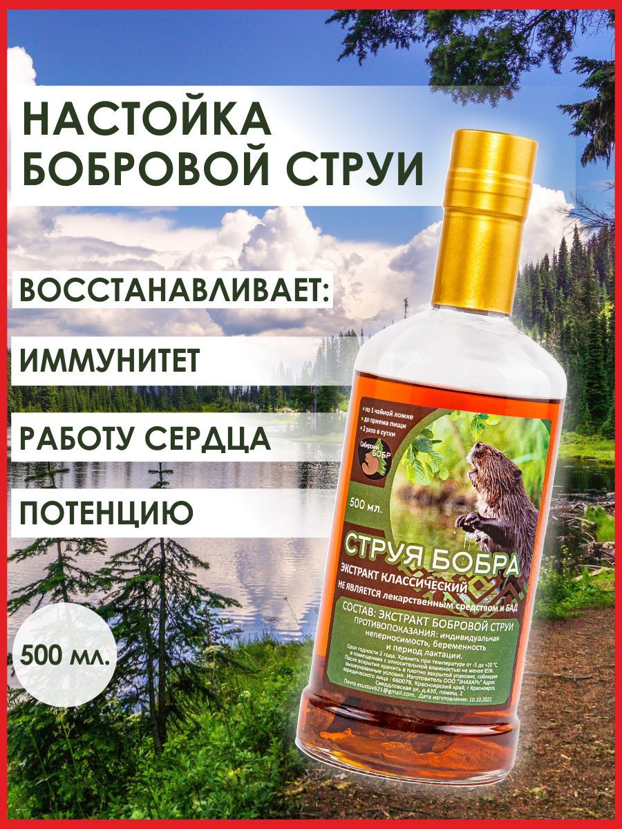 Как правильно настоять бобровую струю