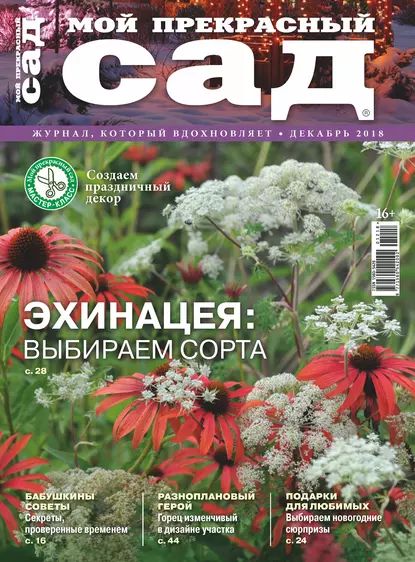 Мой прекрасный сад No12/2018 | Электронная книга