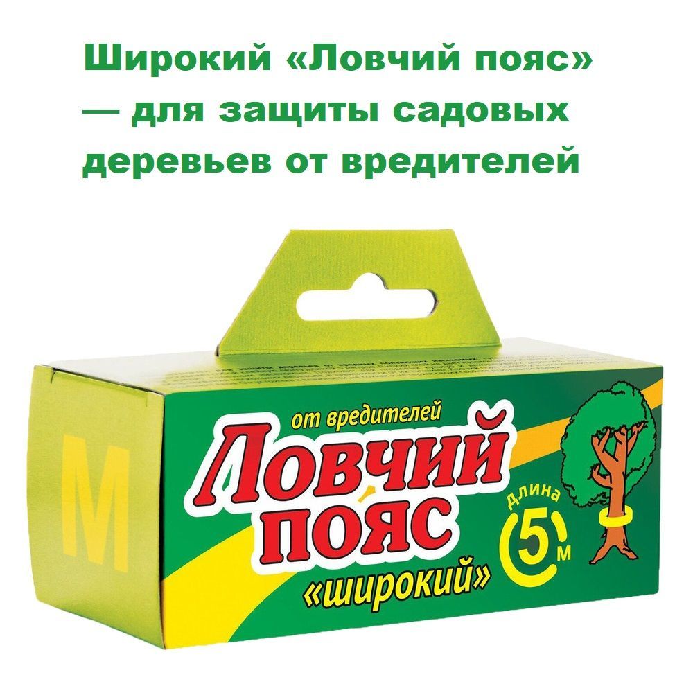 Ловчий пояс для садовых деревьев. Ловчий пояс для деревьев от садовых вредителей.