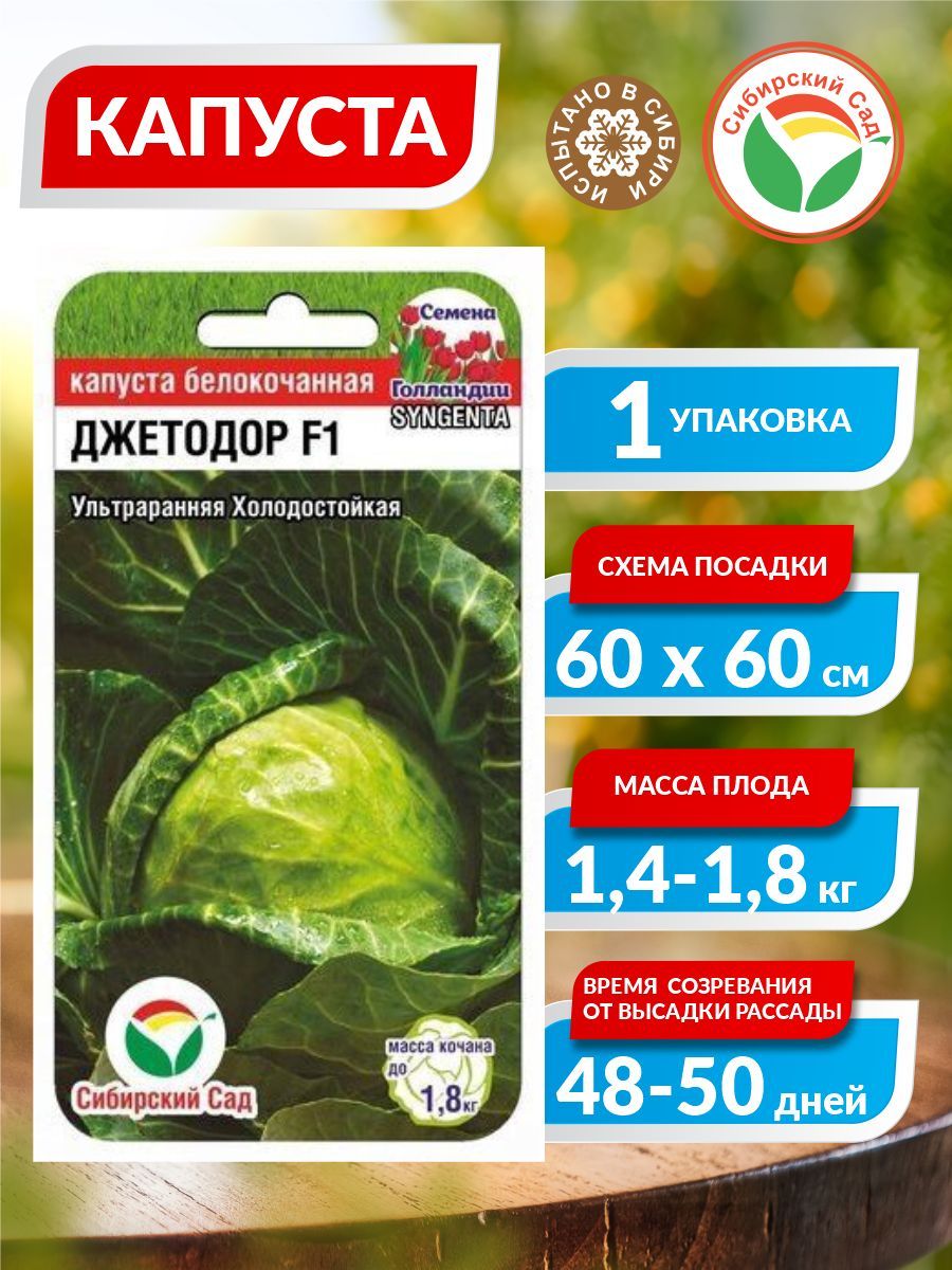 Капуста Сибирский сад 63591 - купить по выгодным ценам в интернет-магазинеOZON (872490484)