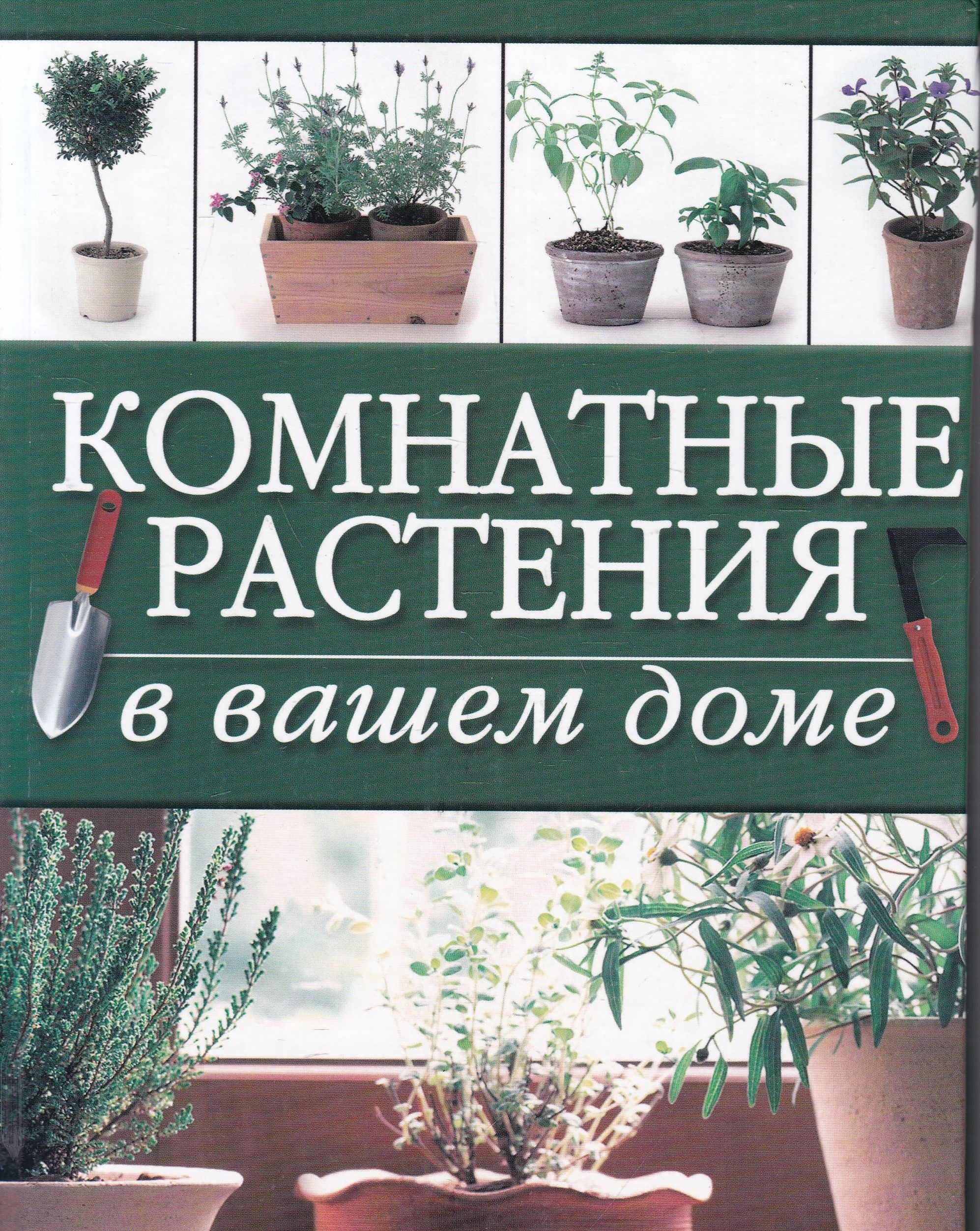 Комнатные растения в вашем доме - купить с доставкой по выгодным ценам в  интернет-магазине OZON (1020295551)