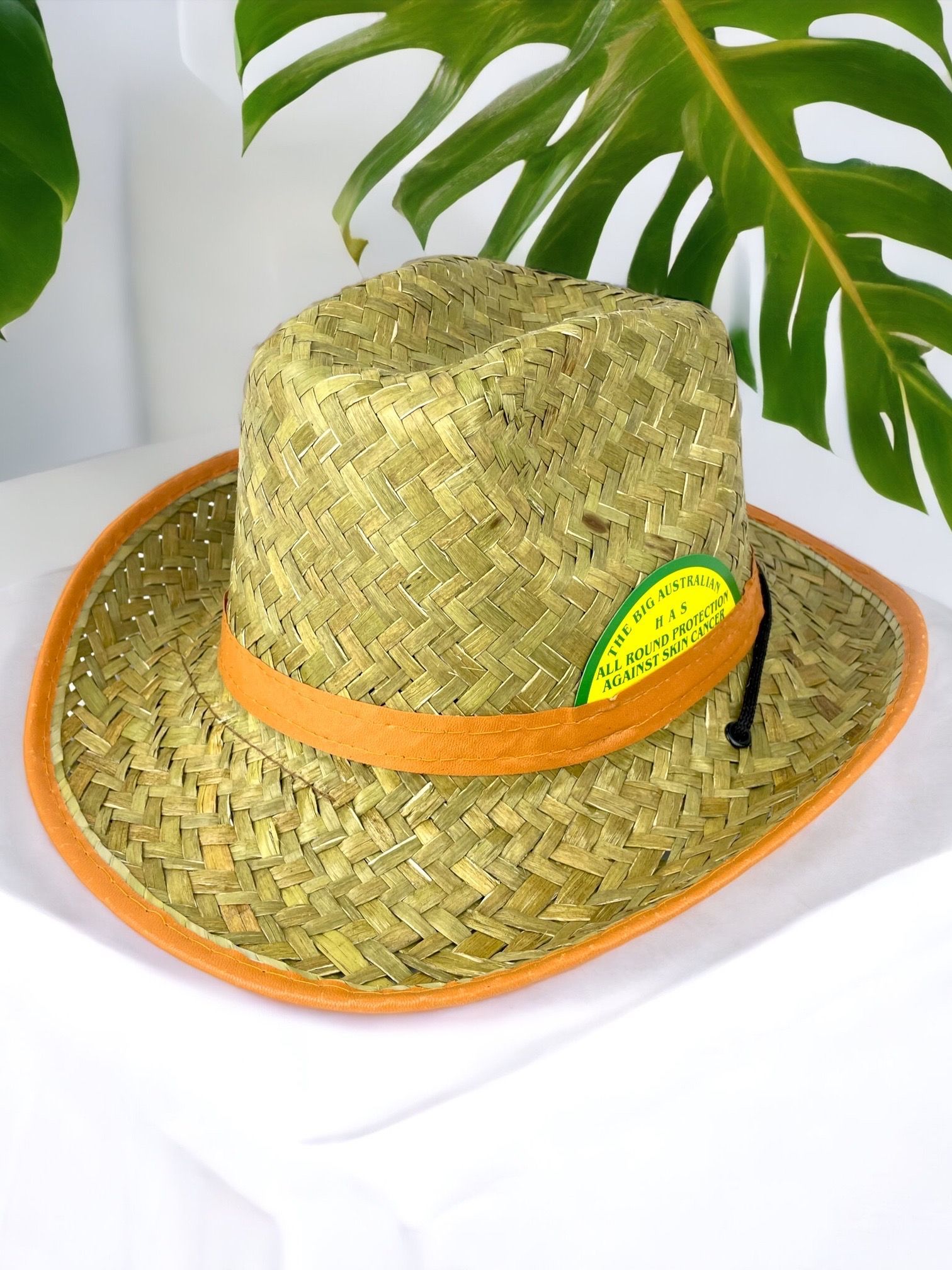 Соломенная шляпа 5. Соломенная шляпа. Шляпы мужские летние из натуральной соломки. Соломенная шляпа странника. Коричневая соломенная шляпа.