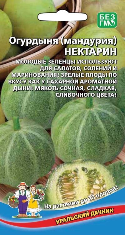 Огурдыня Купить