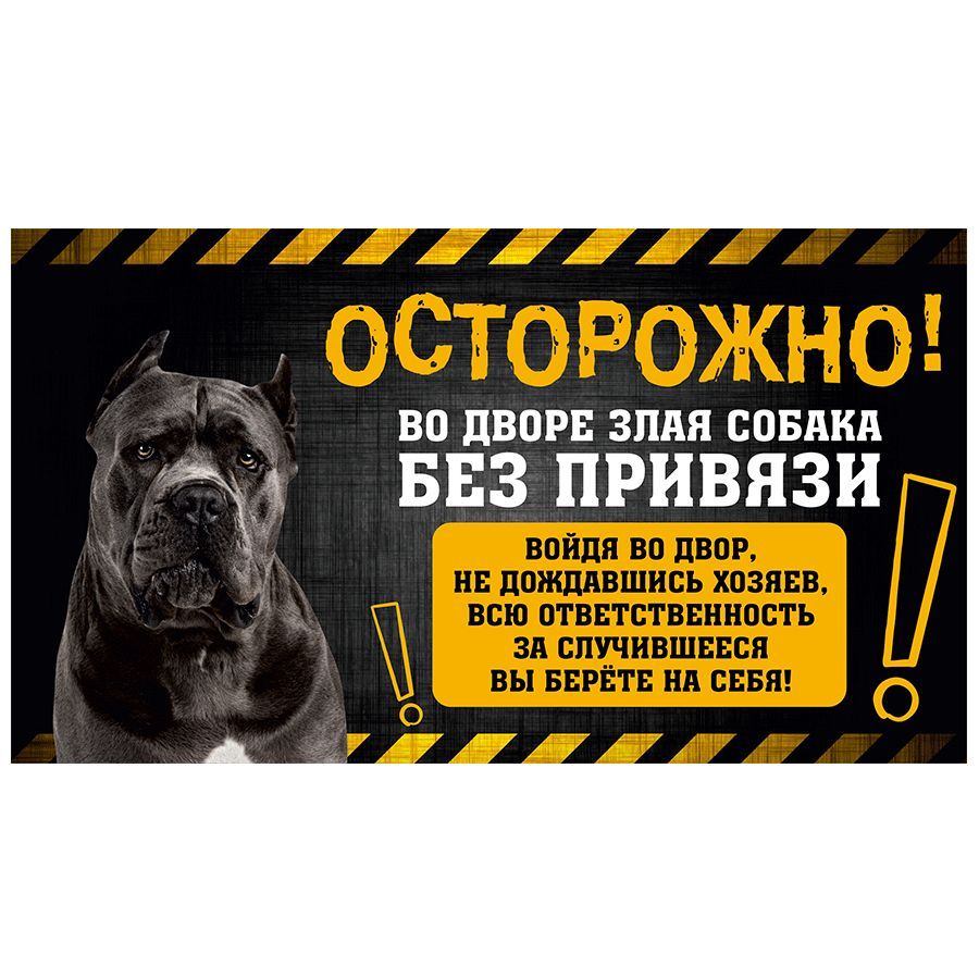 Табличка, с юмором, прикол, DANGER DOG, Осторожно! Во дворе собака без  привязи, Кане-корсо, 25x14 см, 25 см, 14 см - купить в интернет-магазине  OZON по выгодной цене (1054192667)