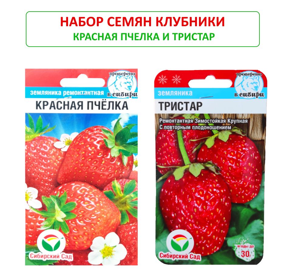 Семена Земляники Купить