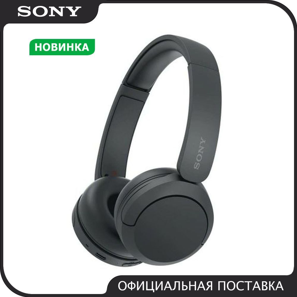 Наушники Накладные Sony WH-CH520 - купить по доступным ценам в  интернет-магазине OZON (1083359312)