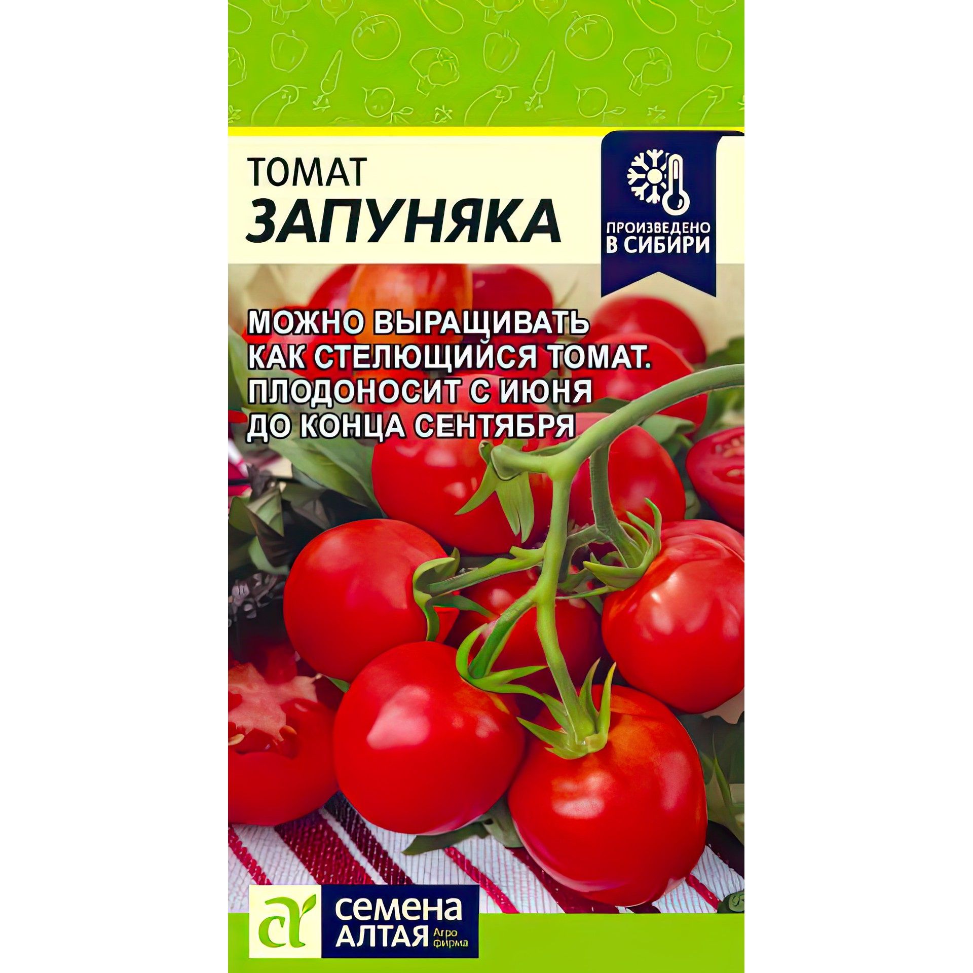 Запуняка томат описание и фото. Томат раннеспелый оранжевый 45 гр.