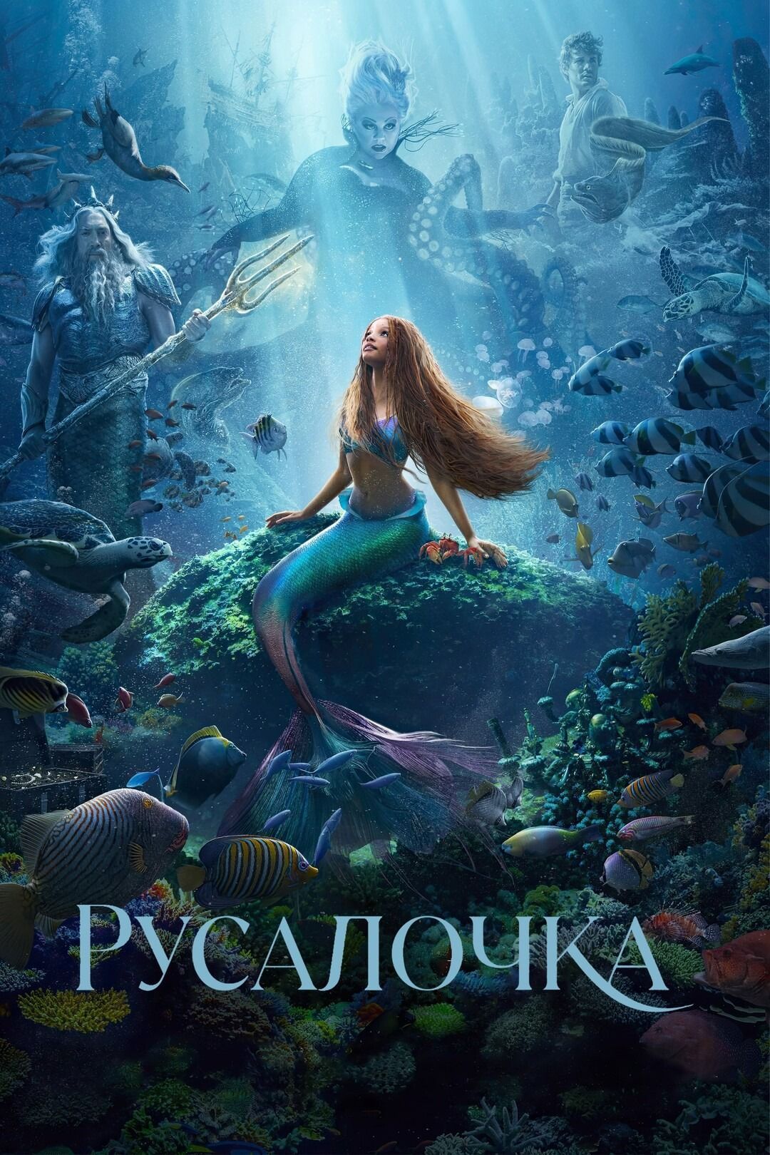 Русалочка (2023) (DVD-R) - купить с доставкой по выгодным ценам в  интернет-магазине OZON (1102272108)