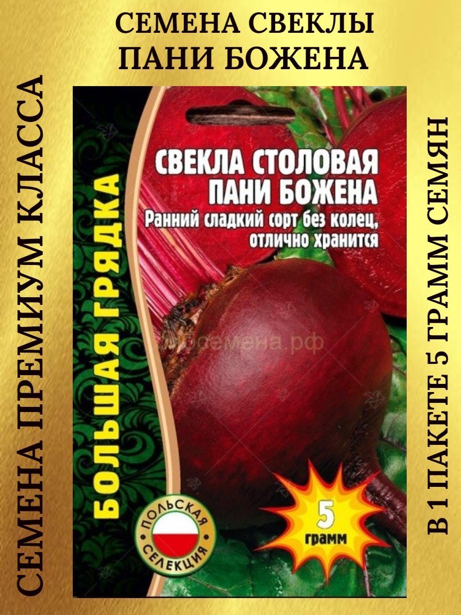 Купить Семена Свеклы Рафинад