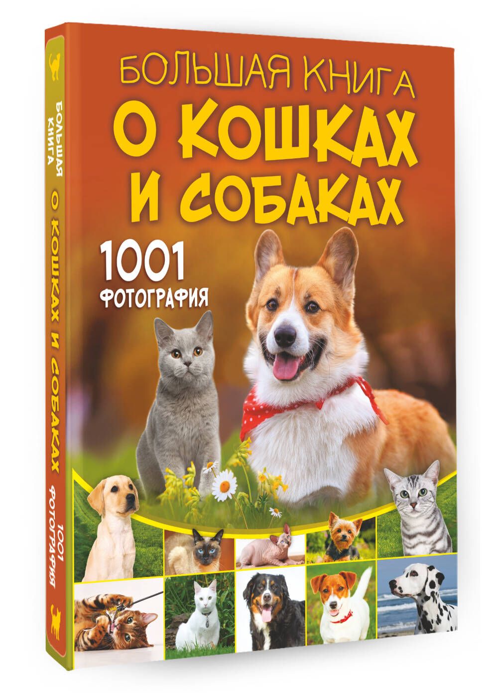 Большая книга о кошках и собаках. 1001 фотография | Прудник Анастасия  Александровна, Спектор Анна Артуровна - купить с доставкой по выгодным  ценам в интернет-магазине OZON (1127055132)