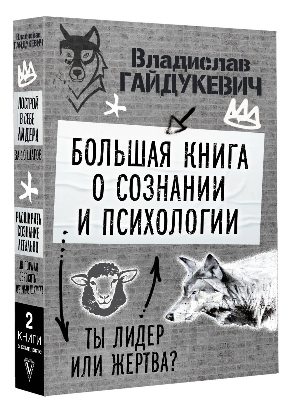 Большая книга о сознании и психологии: ты лидер или жертва? | Гайдукевич Владислав Александрович