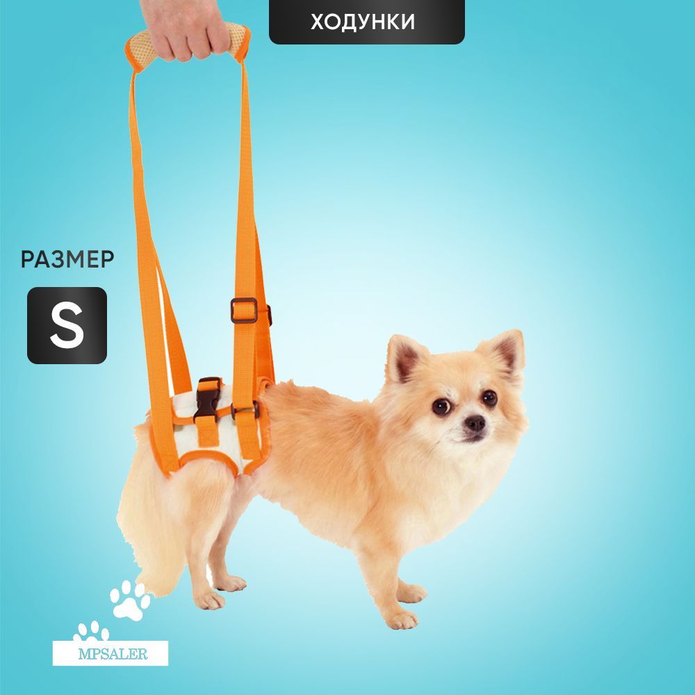 Ходунки для собак