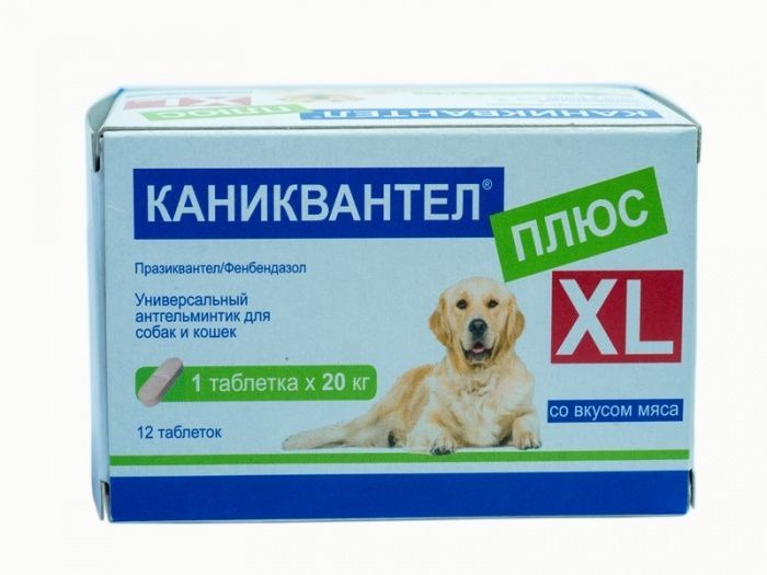 Фенбендазол для собак. Каниквантел плюс XL. Каниквантел для собак. Таблетки для собак. Каниквантел для щенков.