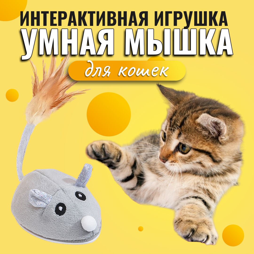 Игрушка для кошек, умная мышка для кошки, интерактивная мышь с USB  зарядкой, дразнилка - купить с доставкой по выгодным ценам в  интернет-магазине OZON (1273722998)