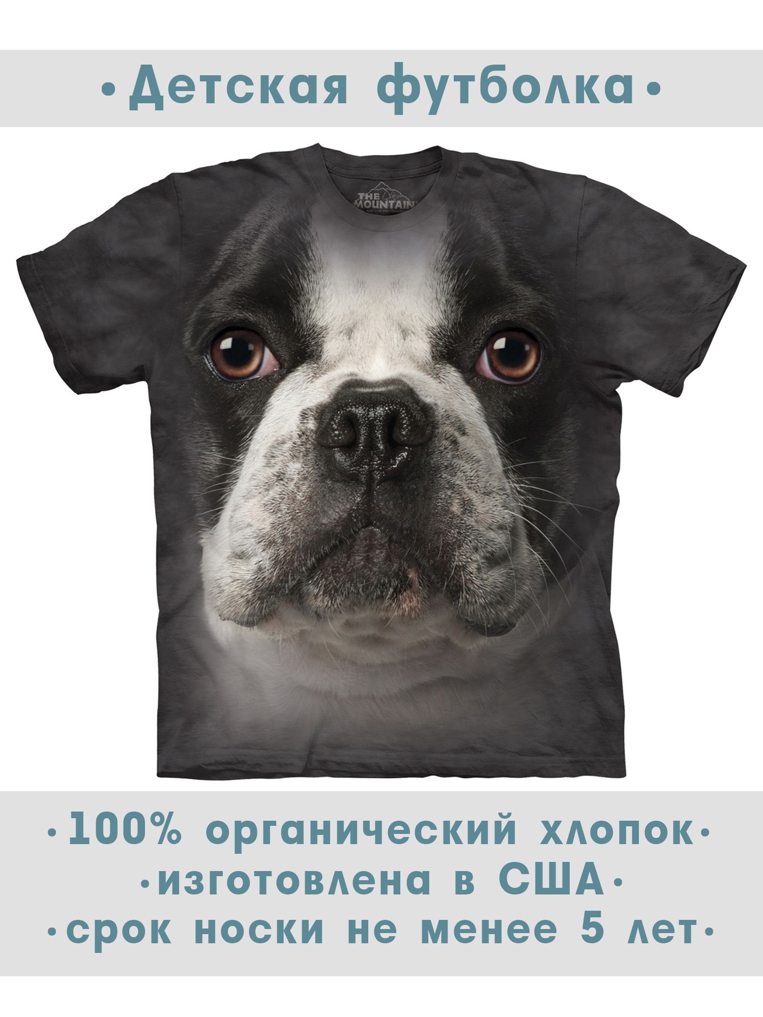Бульдог mountain t shirt. Кофта с питбулем мужская. Бульдог французский mountain t shirt. Кофта с бульдогом. Бренд одежды с собакой.