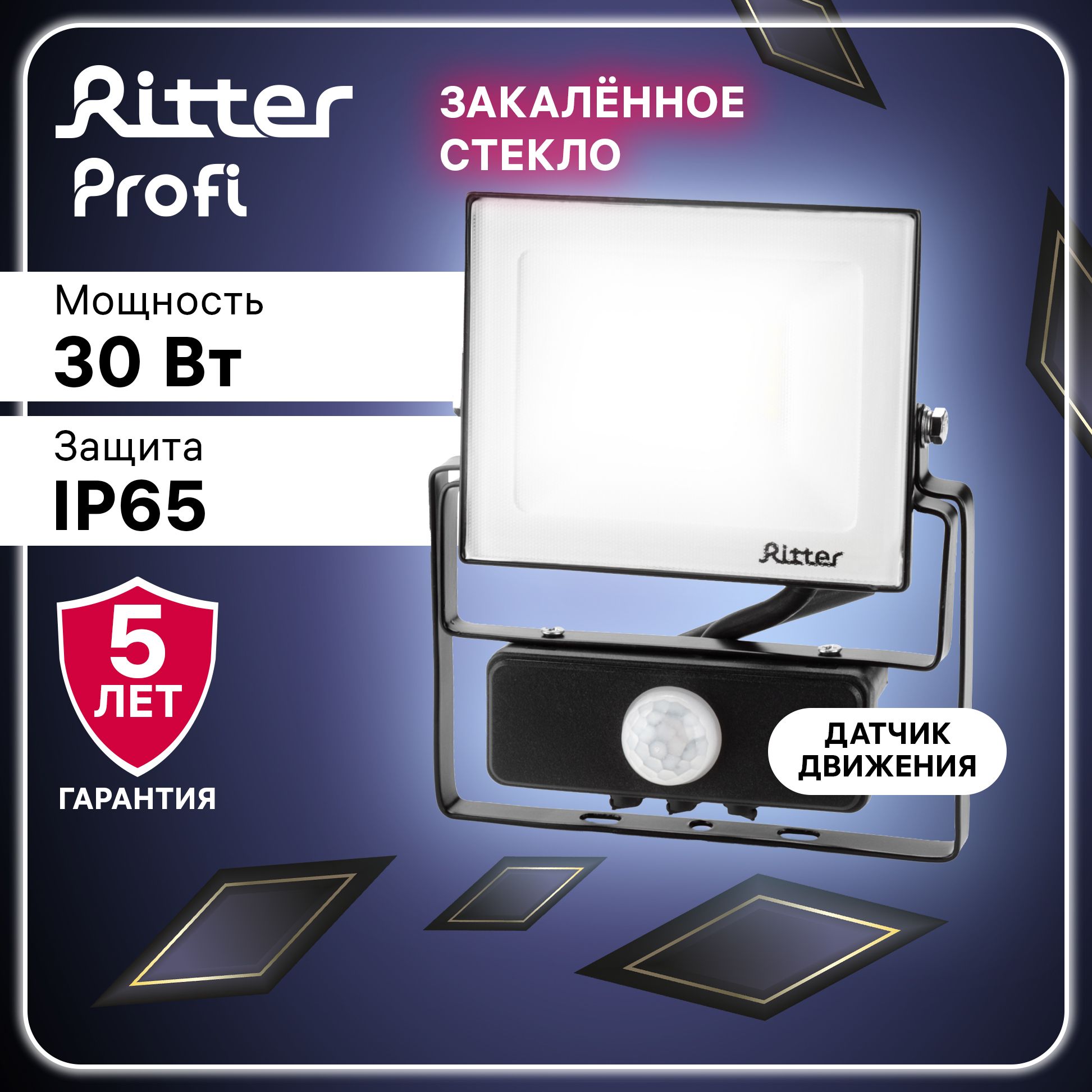 RitterПрожекторсветодиодныйуличныйPROFI30Вт,6500К,IP65,534215