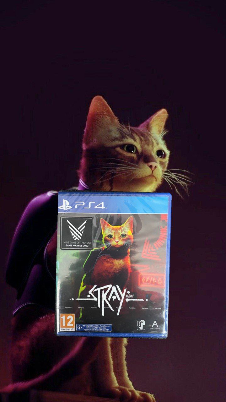 Игра Stray На Playstation 4 Купить