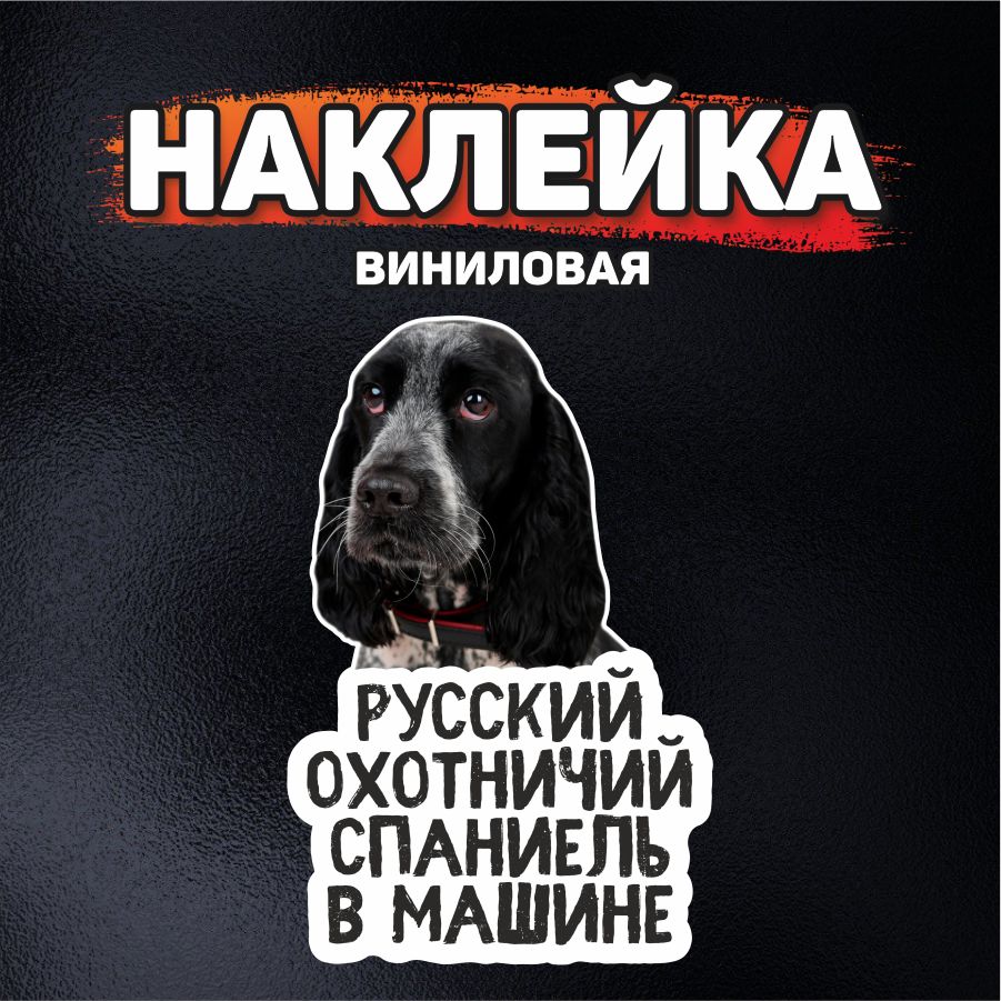 Наклейка на автомобиль, DANGER DOG, Русский охотничий спаниель в машине