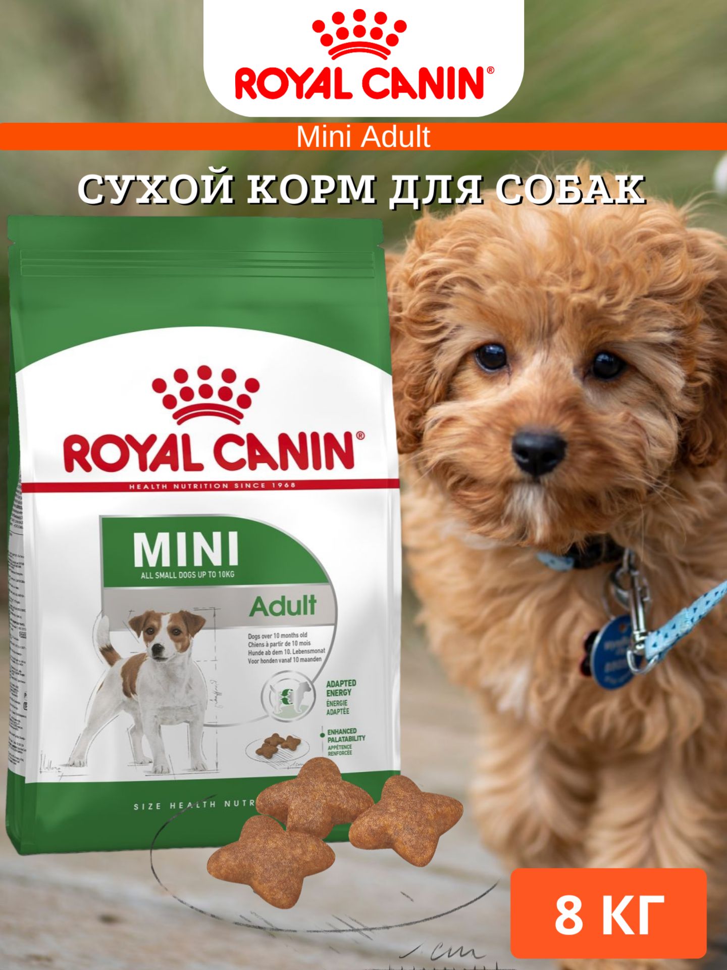 Сухой корм для собак Royal Canin Mini Adult для мелких пород 8 кг - купить  с доставкой по выгодным ценам в интернет-магазине OZON (334542999)