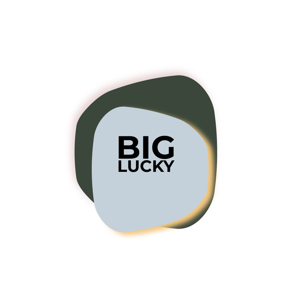 BigLucky — купить товары BigLucky в интернет-магазине OZON