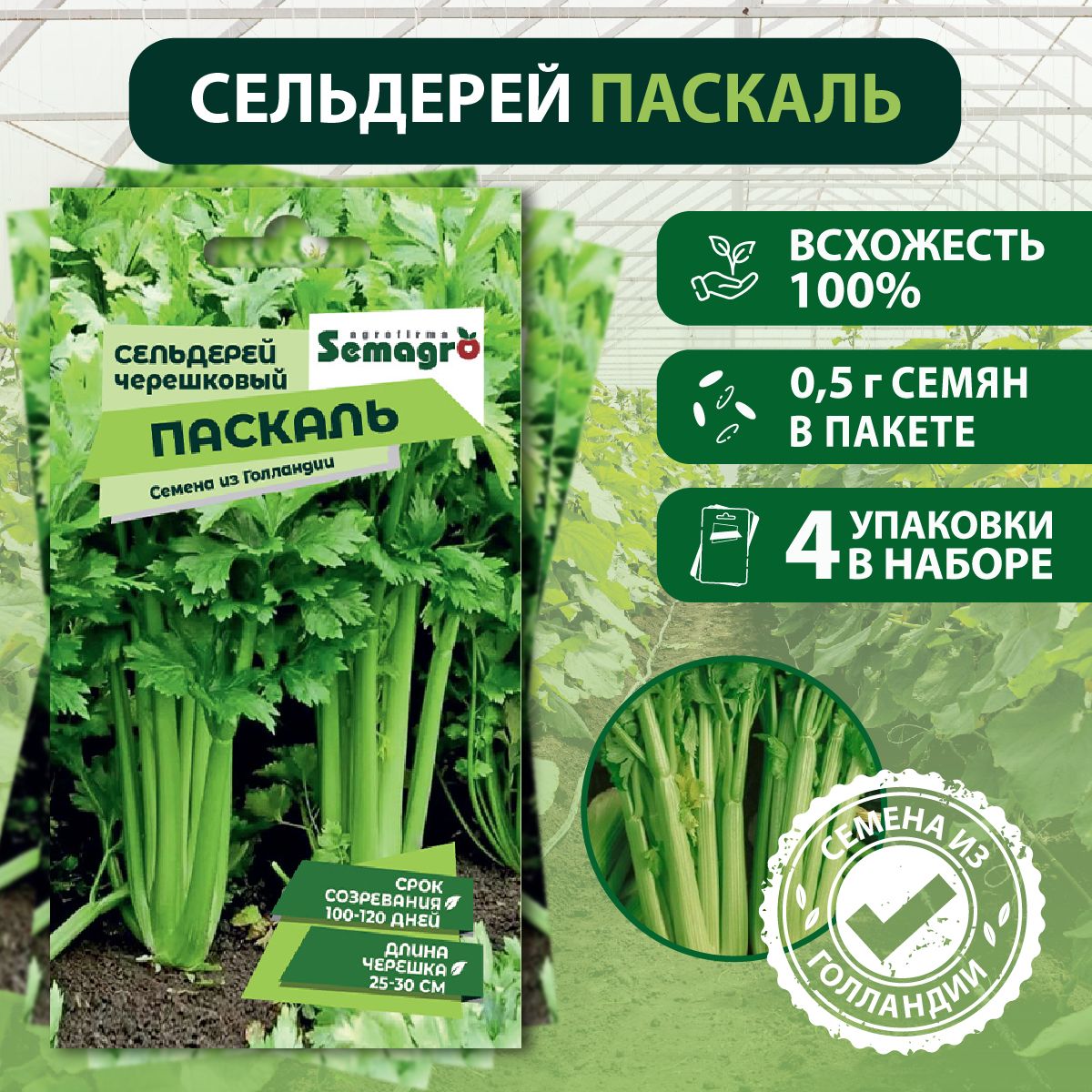 Семена Сельдерей черешковый Паскаль SEMINIS, 4 пакета, (0,5 г семян в одном  пакете)