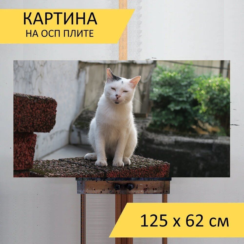 Картина животных 