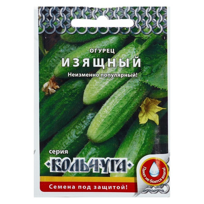 Семена Огурцов Изящный Купить