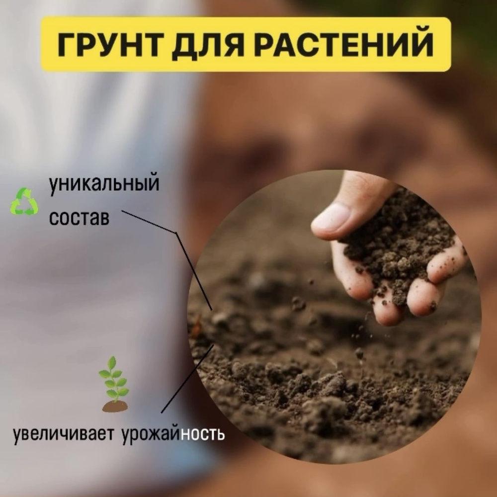 Грунт для растений / земля для рассады / 10 литров - купить по низкой ...
