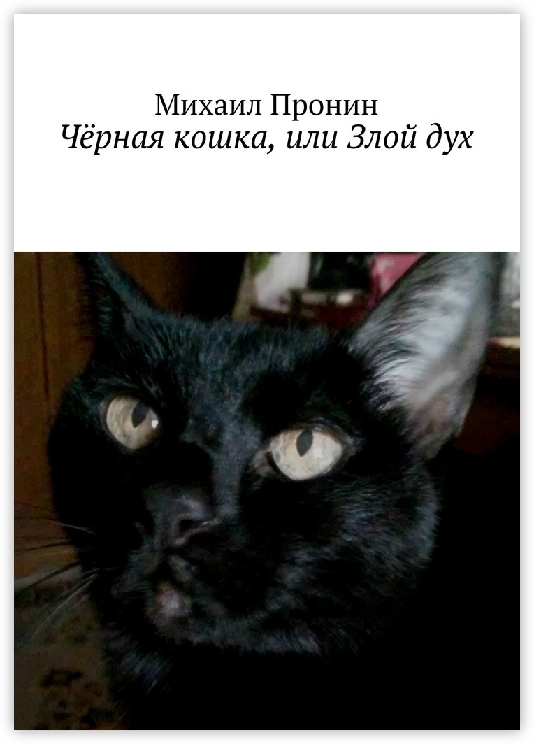 Кошка Зло Фото