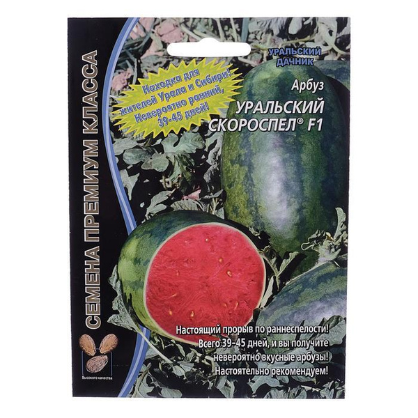 Арбуз Уральский дачник 4674634 - купить по выгодным ценам в  интернет-магазине OZON (500528384)